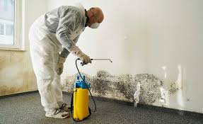 Best Mold Prevention Services  in West End, NY