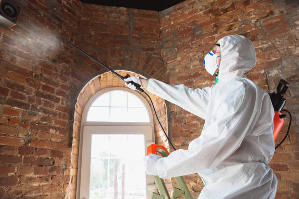 Best Commercial Mold Inspection  in West End, NY