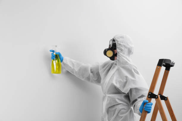 Best Emergency Mold Remediation  in West End, NY